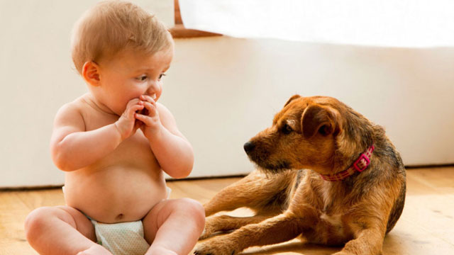 Çocuk ve Evcil Hayvanlar